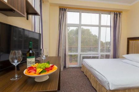 Стандартный 2-местный (с балконом, вид на горы, корпус А)